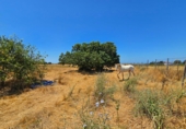 Non-developable land for sale in Chiclana de la Frontera ref: TR415384 photo