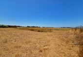 Non-developable land for sale in Chiclana de la Frontera ref: TR415384 photo
