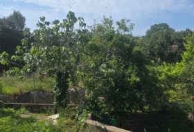Maçanet de la Selva 1031&nbsp;m²