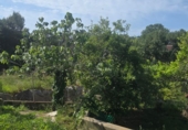 Chalet independiente con terreno en venta en Maçanet de la Selva ref: TR415387 foto