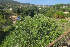 Maçanet de la Selva 1031&nbsp;m²