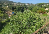 Chalet independiente con terreno en venta en Maçanet de la Selva ref: TR415387 foto