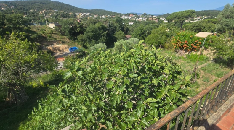 Girona - Maçanet de la Selva - 1031m2