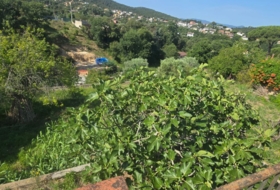 Maçanet de la Selva 1031&nbsp;m²