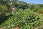 Chalet independiente con terreno en venta en Maçanet de la Selva ref: TR415387 foto