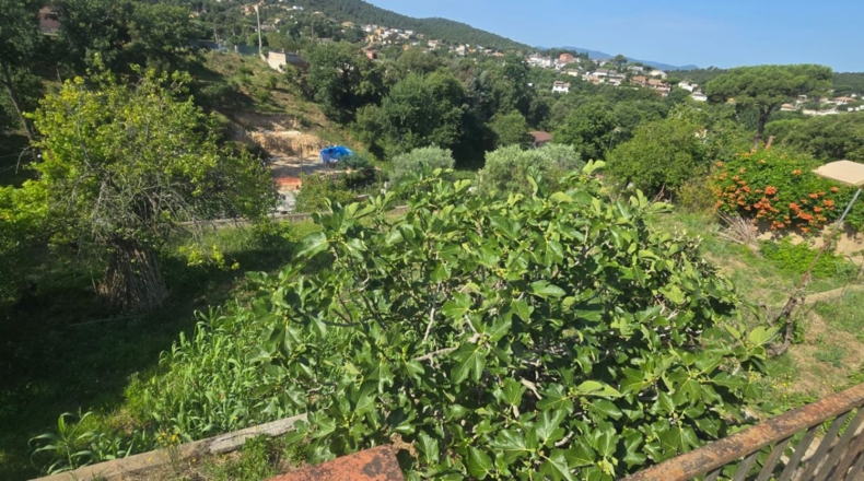 Girona - Maçanet de la Selva - 1031m2