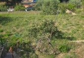 Chalet independiente con terreno en venta en Maçanet de la Selva ref: TR415387 foto