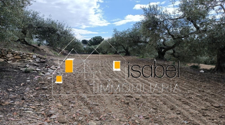 Tarragona - Castellvell del Camp - 4352m2