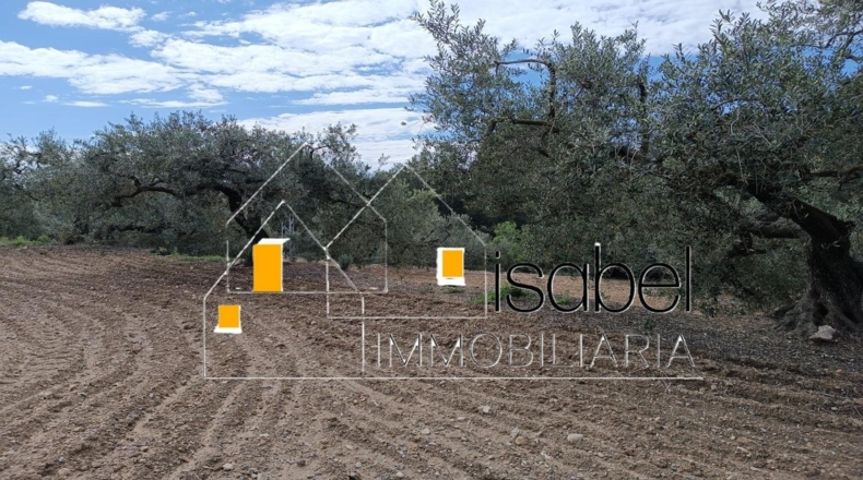 Tarragona - Castellvell del Camp - 4352m2
