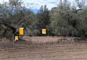 Suelo urbano en venta en Castellvell del Camp ref: TR415388 foto