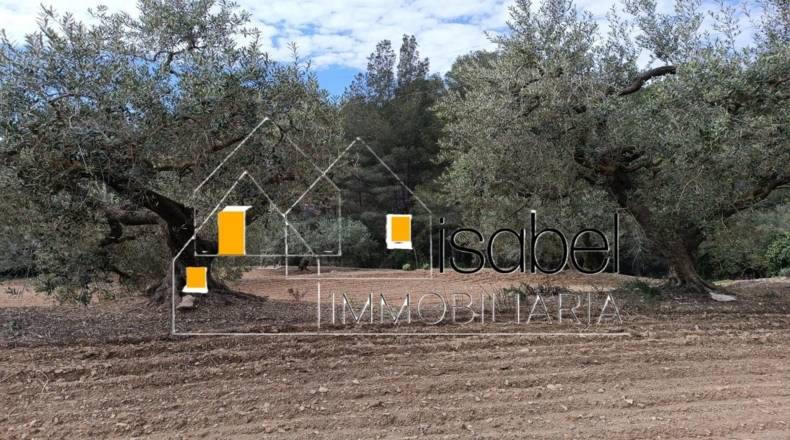 Tarragona - Castellvell del Camp - 4352m2