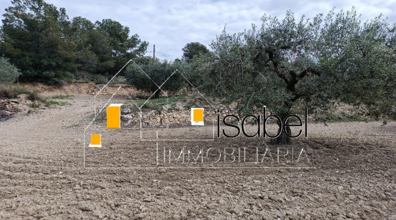Tarragona - Castellvell del Camp - 4352m2