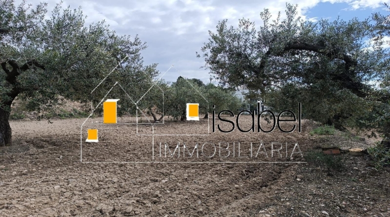 Tarragona - Castellvell del Camp - 4352m2