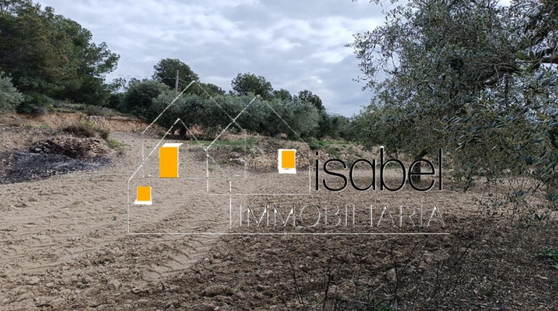 Tarragona - Castellvell del Camp - 4352m2