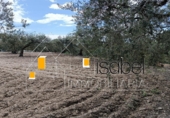 Suelo urbano en venta en Castellvell del Camp ref: TR415388 foto