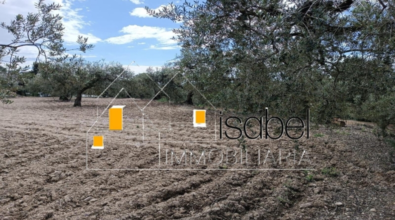 Tarragona - Castellvell del Camp - 4352m2
