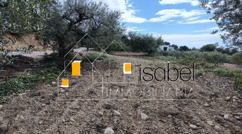 Tarragona - Castellvell del Camp - 4352m2