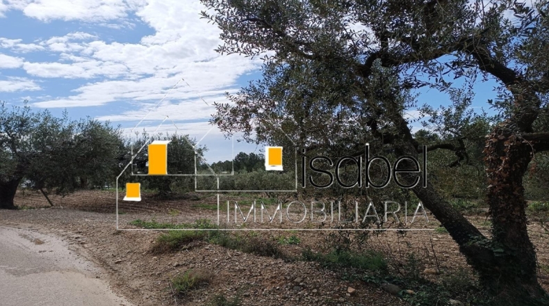 Tarragona - Castellvell del Camp - 4352m2