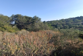 les Borges del Camp 3443&nbsp;m²