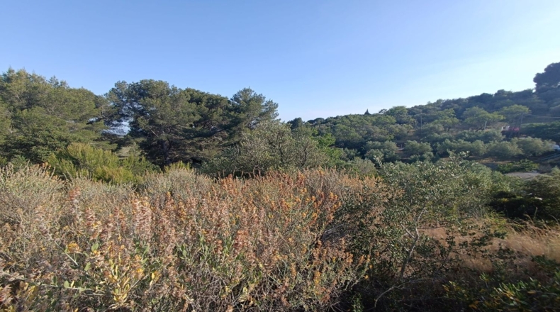 Tarragona - les Borges del Camp - 3443m2