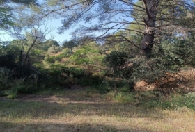 les Borges del Camp 3443&nbsp;m²