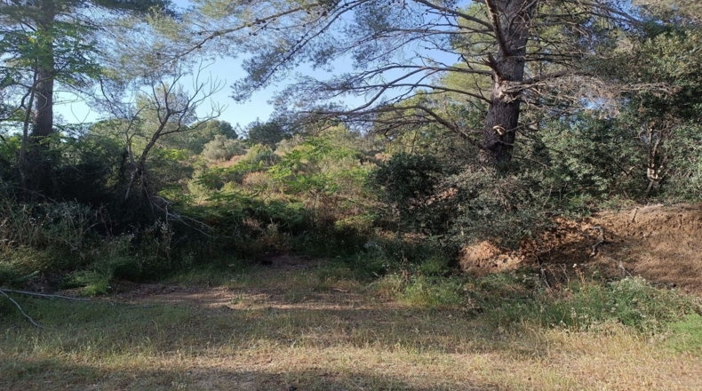 Tarragona - les Borges del Camp - 3443m2