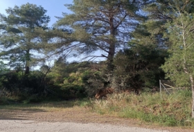 les Borges del Camp 3443&nbsp;m²
