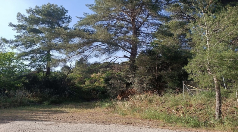 Tarragona - les Borges del Camp - 3443m2