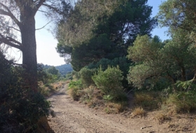 les Borges del Camp 3443&nbsp;m²