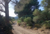 Terreno no urbanizable en venta en les Borges del Camp ref: TR415389 foto