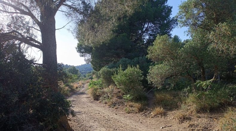 Tarragona - les Borges del Camp - 3443m2