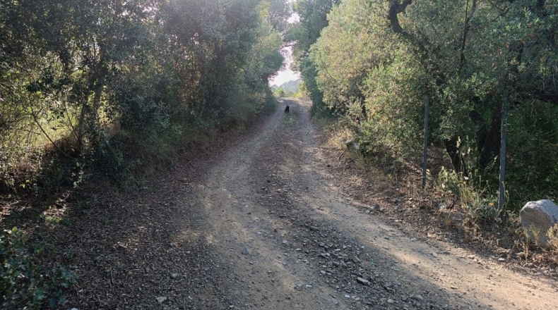 Tarragona - les Borges del Camp - 3443m2