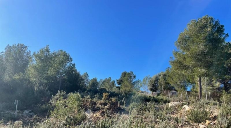 Valencia - Godelleta - 9098m2