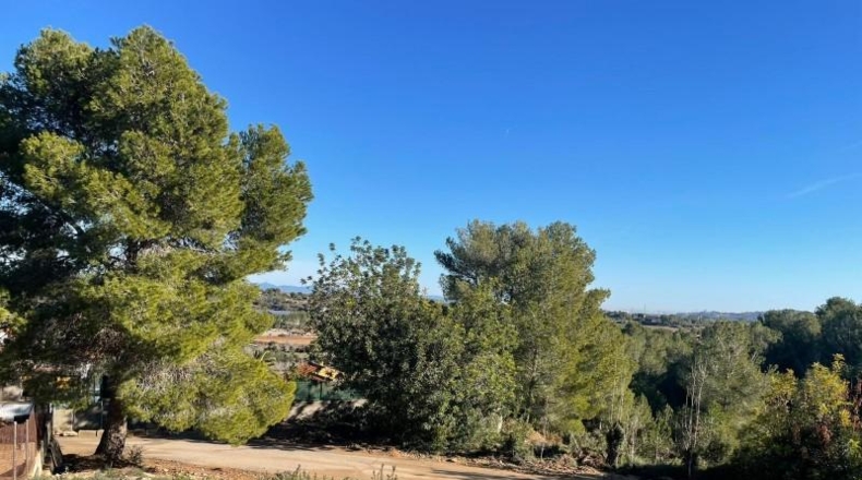 Valencia - Godelleta - 9098m2