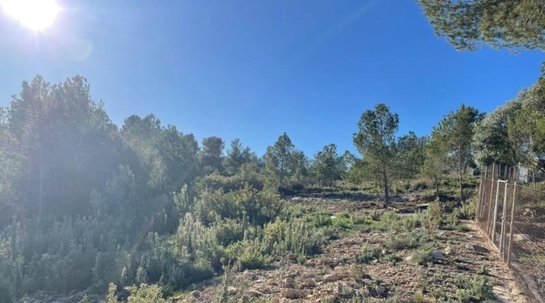 Valencia - Godelleta - 9098m2