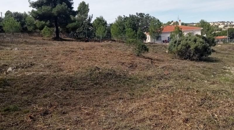 Valencia - Godelleta - 9098m2