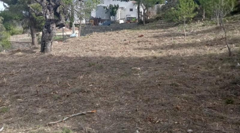 Valencia - Godelleta - 9098m2