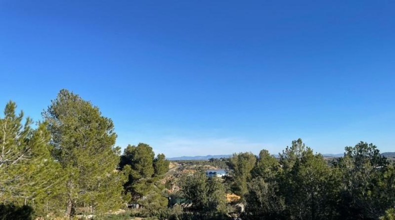 Valencia - Godelleta - 9098m2