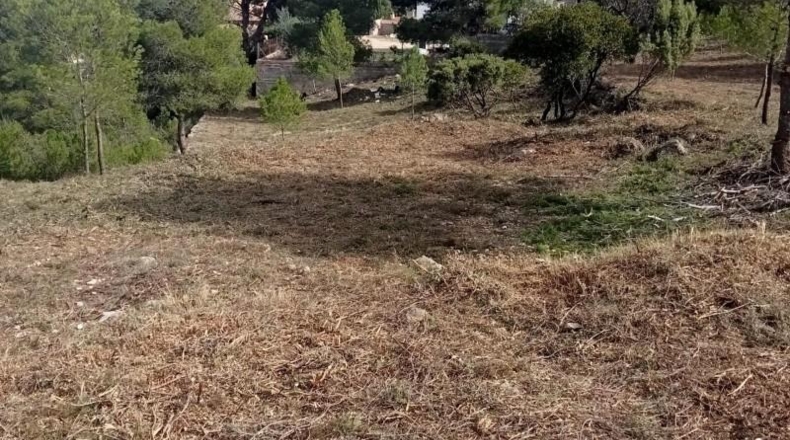 Valencia - Godelleta - 9098m2