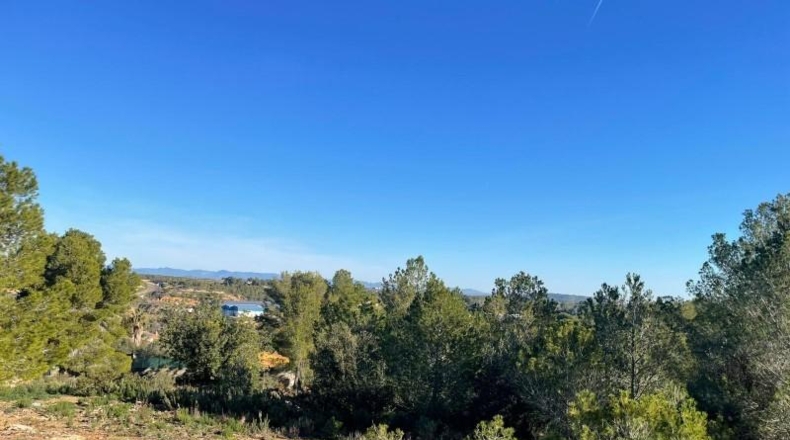 Valencia - Godelleta - 9098m2