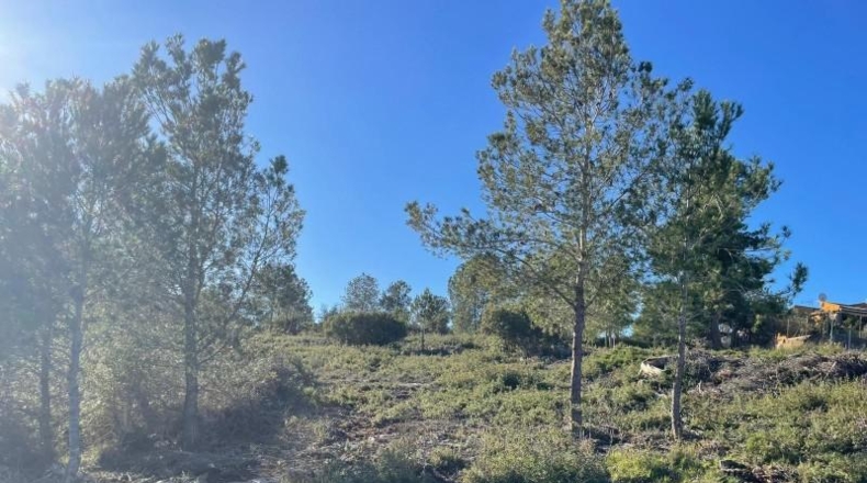 Valencia - Godelleta - 9098m2