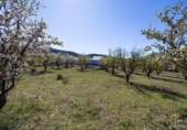 Suelo urbano en venta en la España, Dílar, ref: TR415399 foto