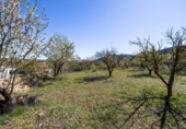 Suelo urbano en venta en la España, Dílar, ref: TR415399 foto