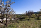 Suelo urbano en venta en la España, Dílar, ref: TR415399 foto