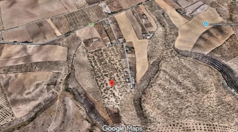 Granada - Los Llanos - 16217m2