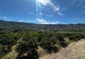 Country house with land for sale on España, la Vall de Gallinera, ref: TR415400 photo