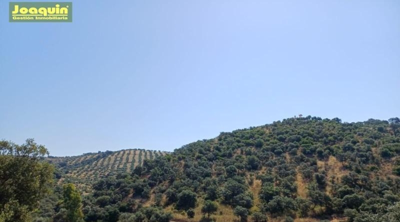 Córdoba - Montoro - 13272m2