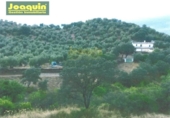 Участок с постройкой на продажу в городе Montoro Фото