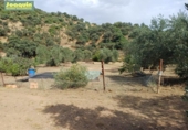 Участок с постройкой на продажу в городе Montoro Фото