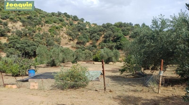 Córdoba - Montoro - 13272m2
